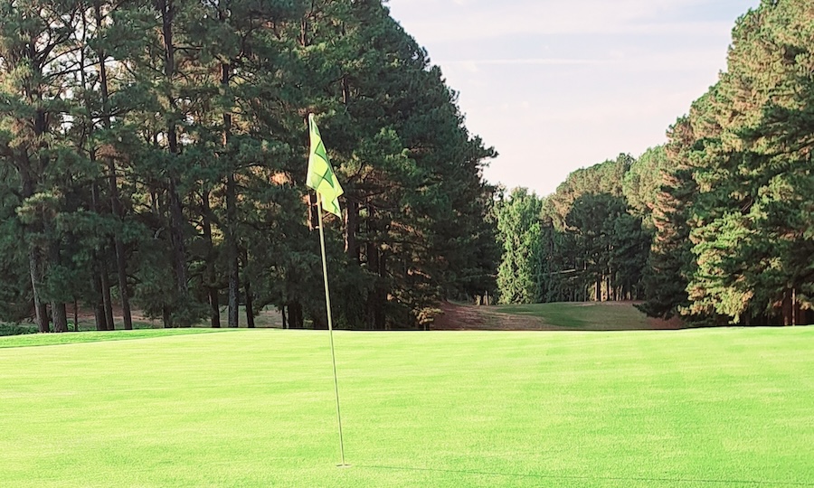 Premium Tifdwarf and Tifgreen 328 putting greens